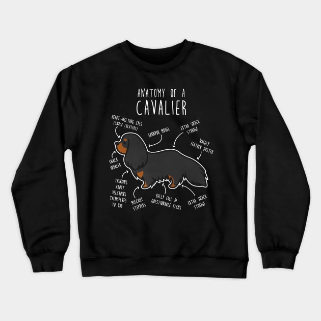 Cavalier King Charles Spaniel Dog Black and Tan Anatomy Crewneck Sweatshirt by Psitta